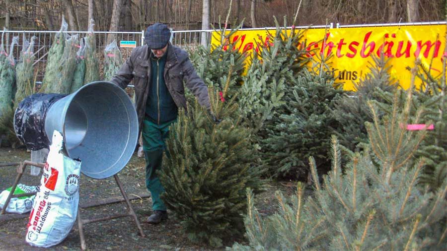 Weihnachtsbaumverkauf